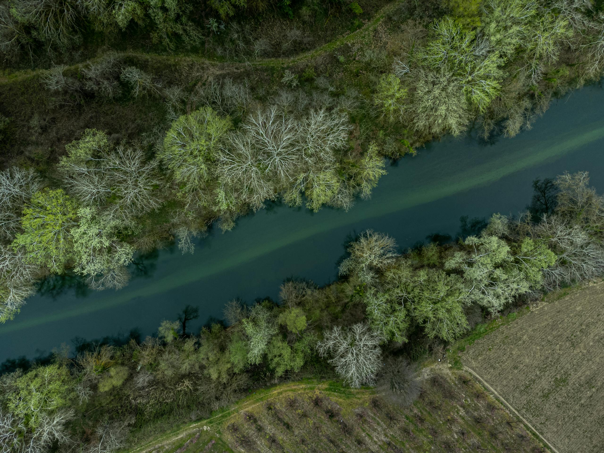 Peaceful aerial shot of a river meandering through lush forest landscape.